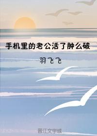 手机里的老公活了肿么破封面