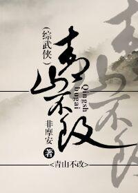 青山不改[综武侠]封面