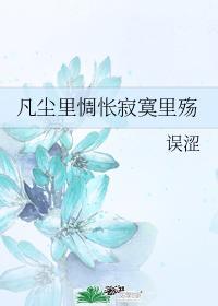 凡尘里惆怅寂寞里殇封面