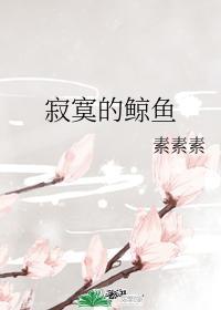 寂寞的鲸鱼封面