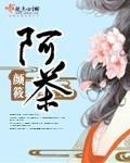 阿茶封面