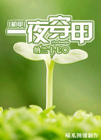 [机甲]一夜穿甲封面
