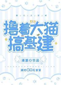 撸着大猫搞基建[种田]封面