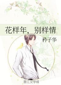 花样年，别样情封面