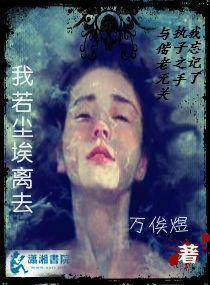我若尘埃离去封面