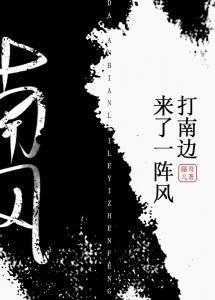 打南边儿来了一阵风封面