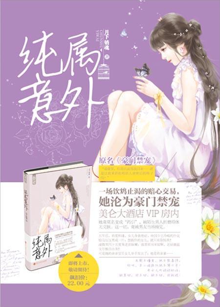 豪门危情Ⅰ：纯属意外封面