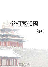 帝相两倾国封面
