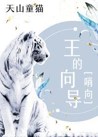 王的向导封面
