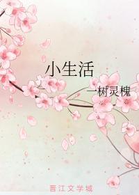 小生活封面