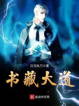 书藏大道封面