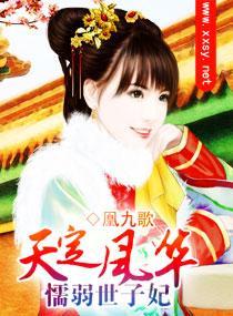 天定风华之懦弱世子妃封面