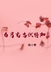 白月光与伏特加封面