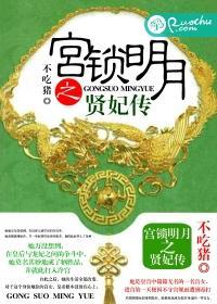 宫锁明月之贤妃传封面