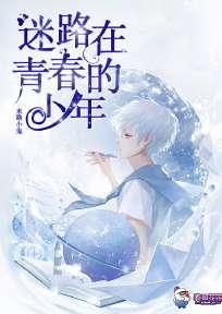 迷路在青春的少年封面