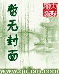 辰迷风云录封面