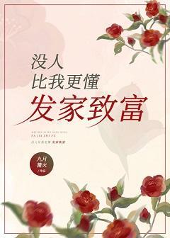 没人比我更懂发家致富[年代]封面