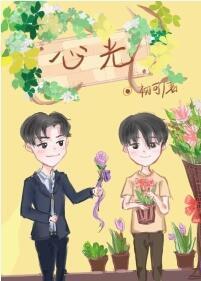 心光封面