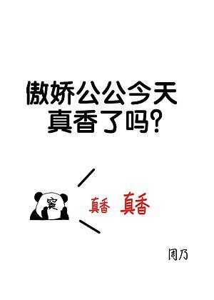 窦公公的小傻子封面