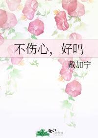 不伤心，好吗封面