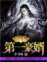 万古第一豪婿封面