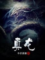 真龙封面