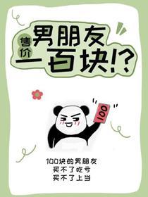 男朋友售价一百块封面