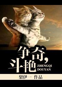 争奇，斗艷封面