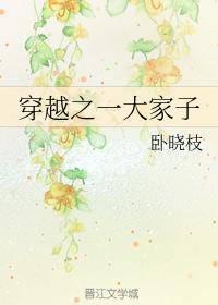 穿越之一大家子封面