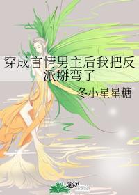 穿成言情男主后我把反派掰弯了封面