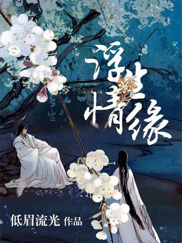 浮生情缘封面