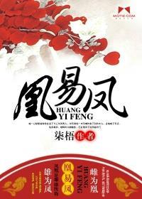 凰易凤封面