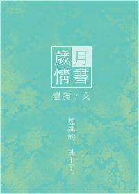 岁月情书封面