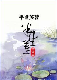 半世芙蓉半生莲封面