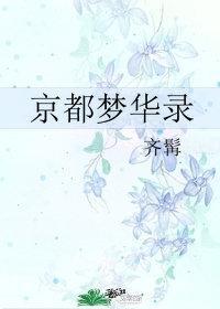 京都梦华录封面