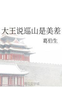 大王说巡山是美差封面