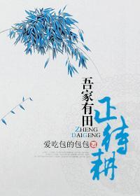 吾家有田正待耕封面