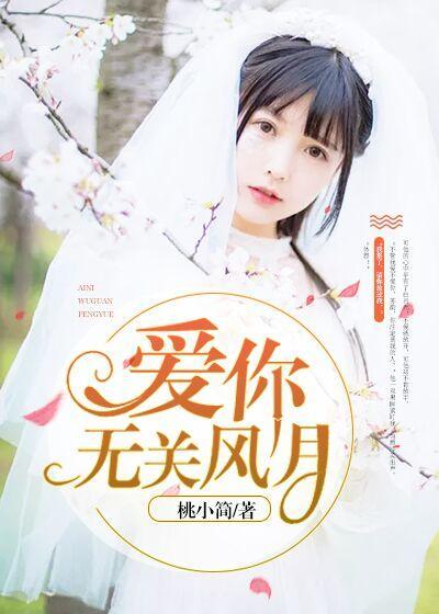 爱你无关风月封面