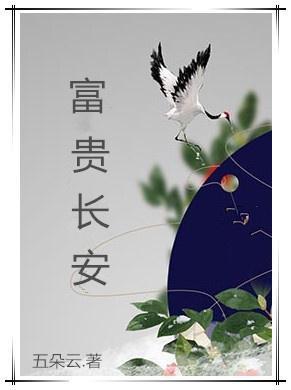 富贵长安封面