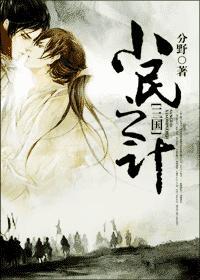 [三国]小民之计封面