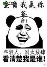 主角！我是你爹封面