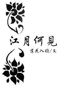 江月何见封面