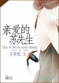 亲爱的苏先生封面