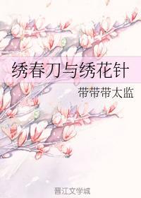 绣春刀与绣花针封面
