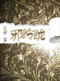 邪玲珑封面