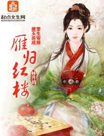 雁归红楼封面