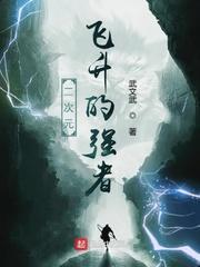 二次元飞升的强者封面
