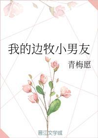 我的边牧小男友封面