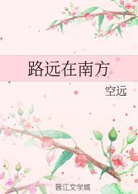 路远在南方封面