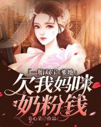 一胎双宝：爹地欠我妈咪奶粉钱封面